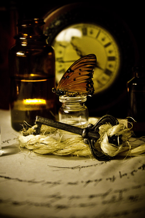 butterfly_0
